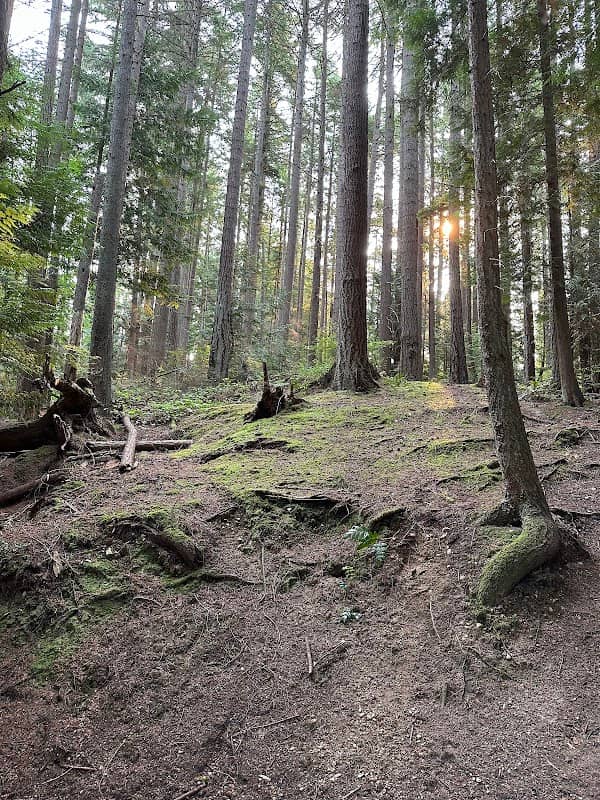 Pine Ridge Park - Image 2