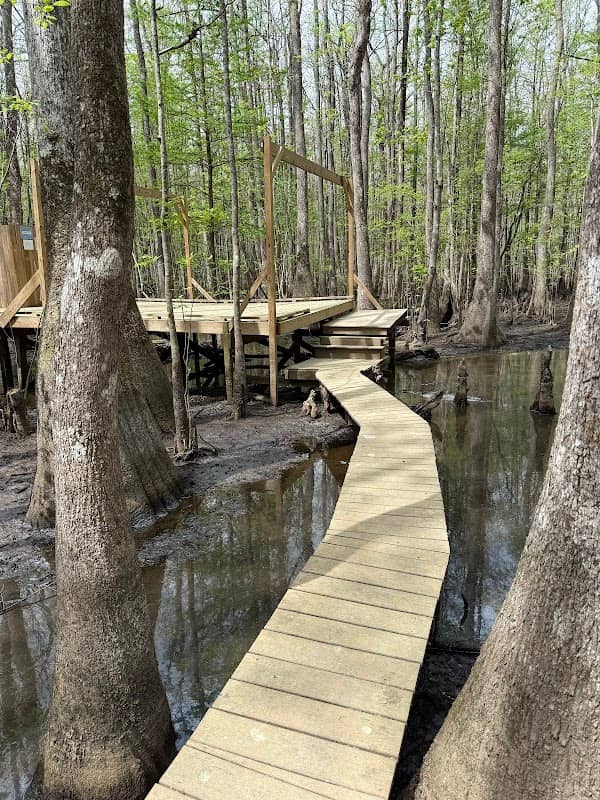 Beaver Lodge and Beaver Tail - Image 1