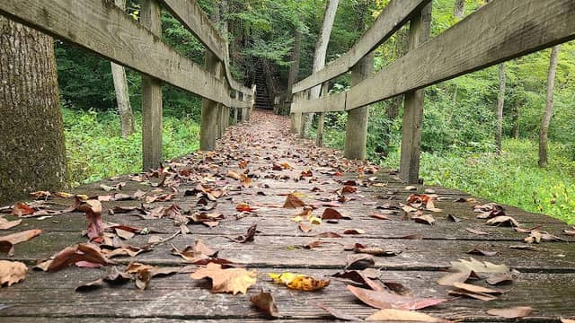Zoar State Forest Canoe Ramp - Image 1