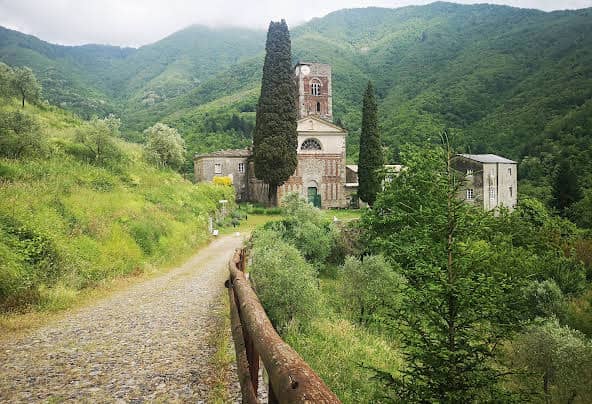 Cipresso Monumentale di Borzone - Image 2