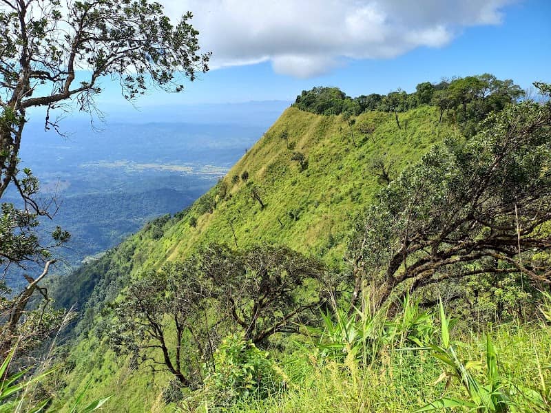 Den Chang Non Mountain Summit ยอดดอยเด่นช้างนอน 1920m - Image 1