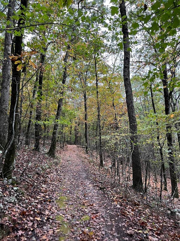 Sunset Trail - Image 2