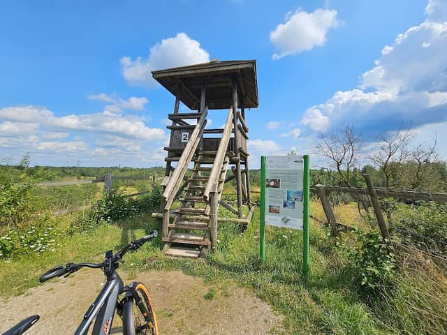 Weilbacher Kiesgruben - Image 3