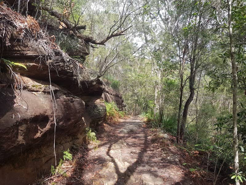 Two Creeks Track - Image 1