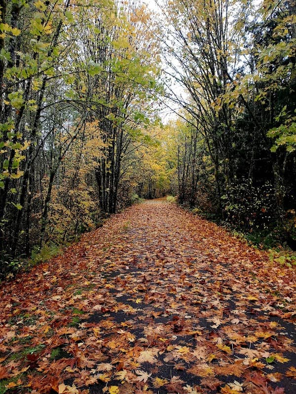 Chehalis Western Herman Rd Trailhead - Image 2