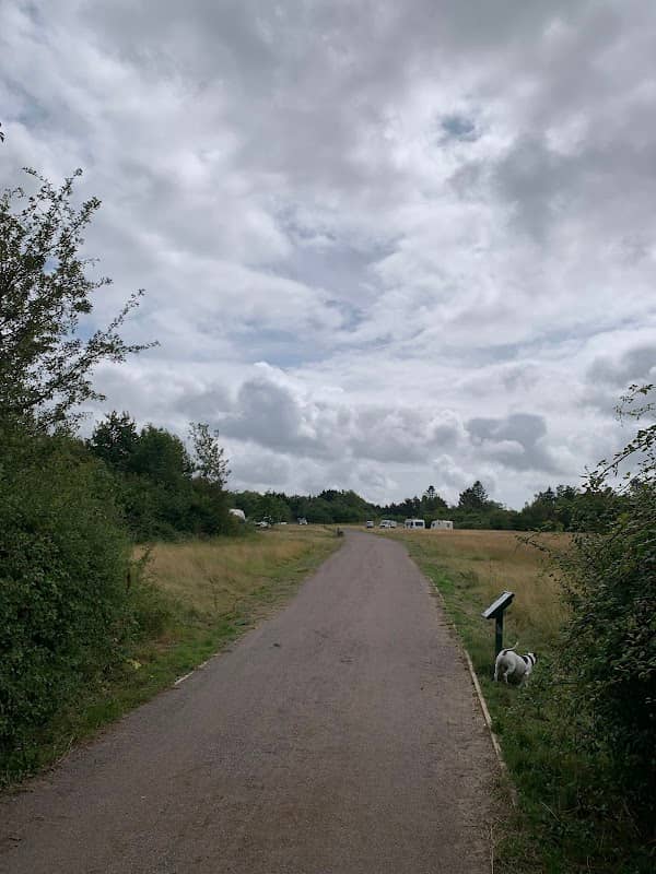 Malthouse Lane Meadows - Image 1