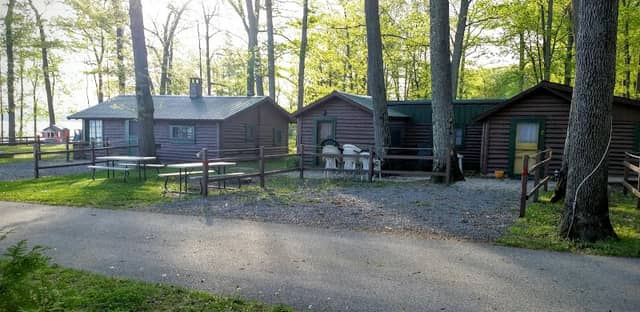 Cabin Fever Resort - Image 1