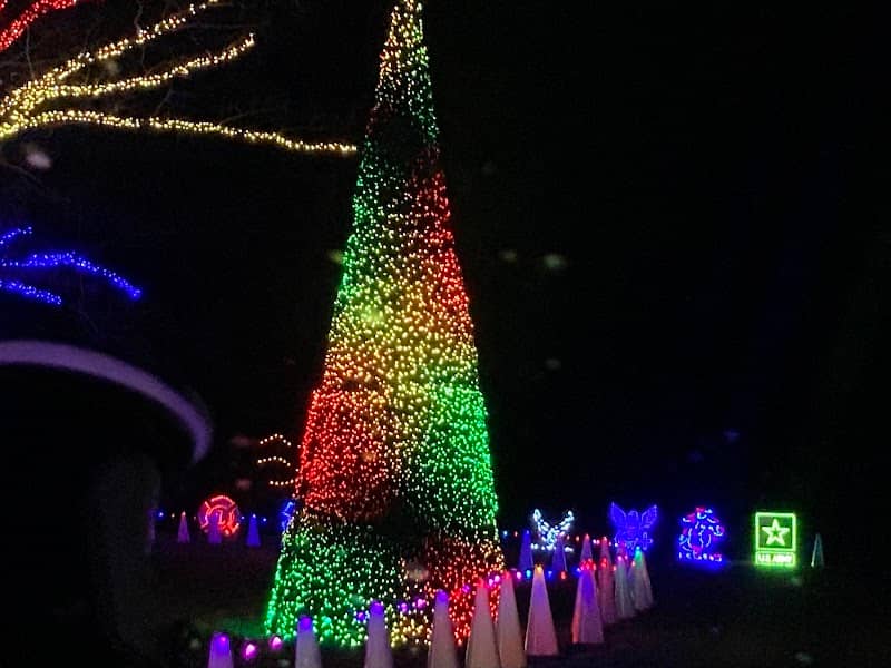 Harrison Family Christmas Lights - Image 2