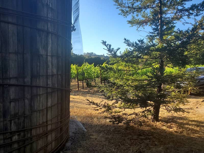 Portola Vineyards - Image 2