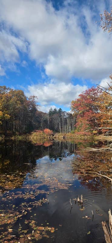 Lake Wallace Sensory Trail - Image 2