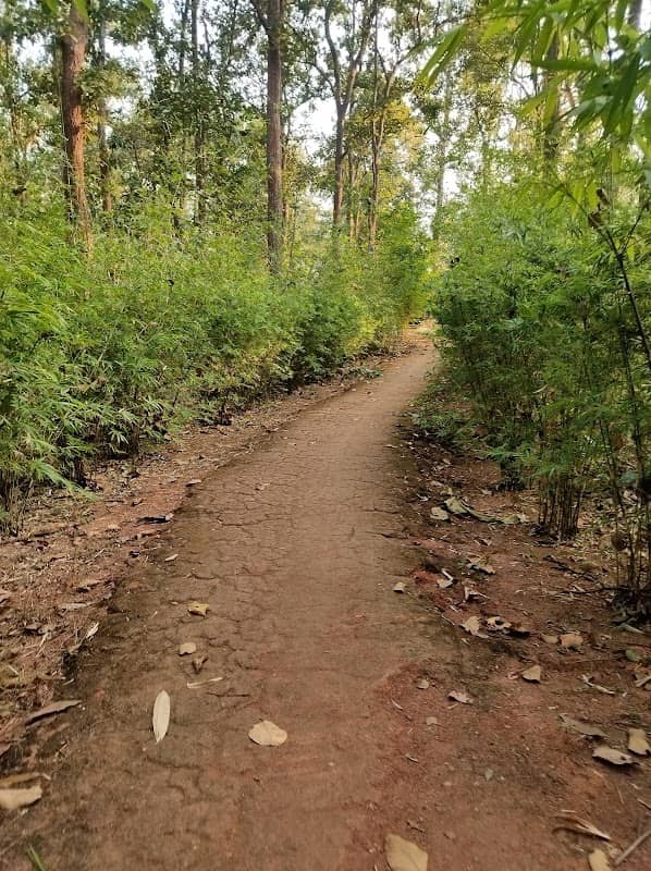 Our Sargi Nature Park - Kondanar - Image 1