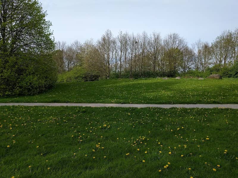 Bavnehøj - Image 1
