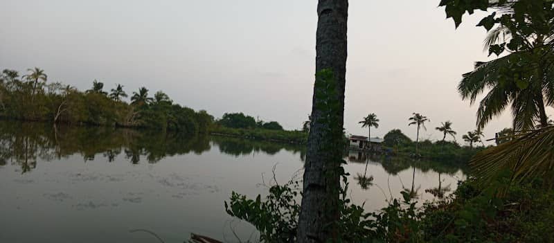 Kandalloor View Point - Image 1
