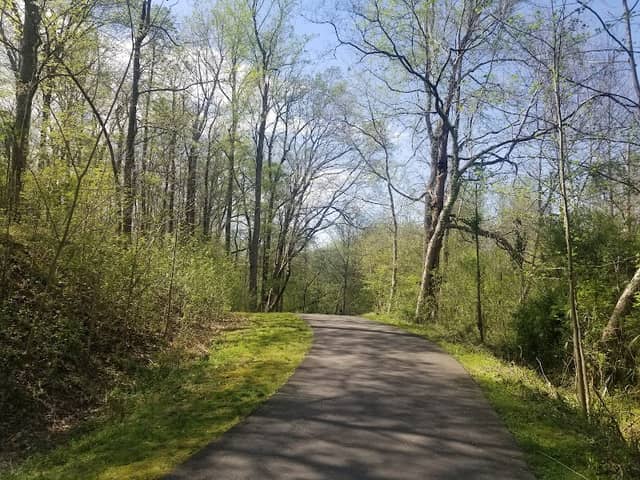 West Branch Rocky River Greenway at Shearer Road - Image 3
