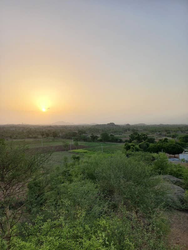Ojanawa - Image 1