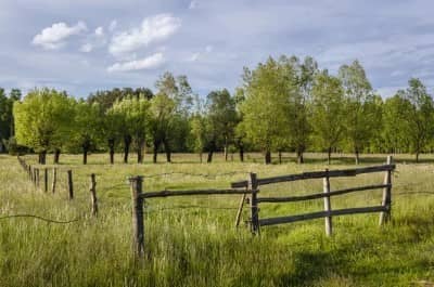 Creekside Park - Image 1