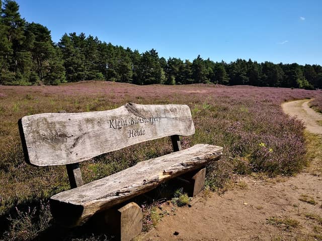 Klein Bünstorfer Heide - Image 1