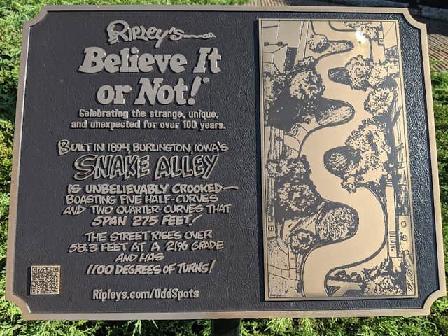 Snake Alley - Image 3