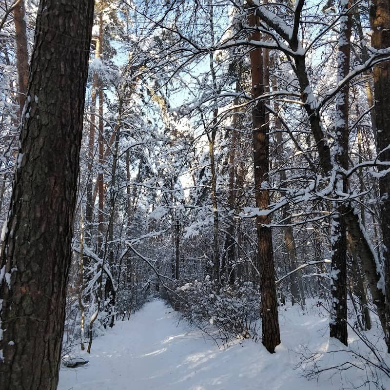 Skazochnoye - Image 1