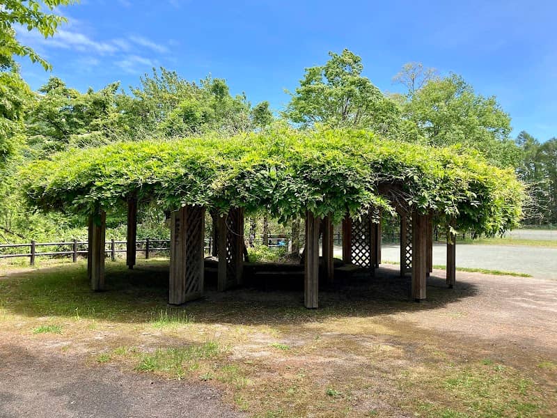 Fujino Higashi Park - Image 2