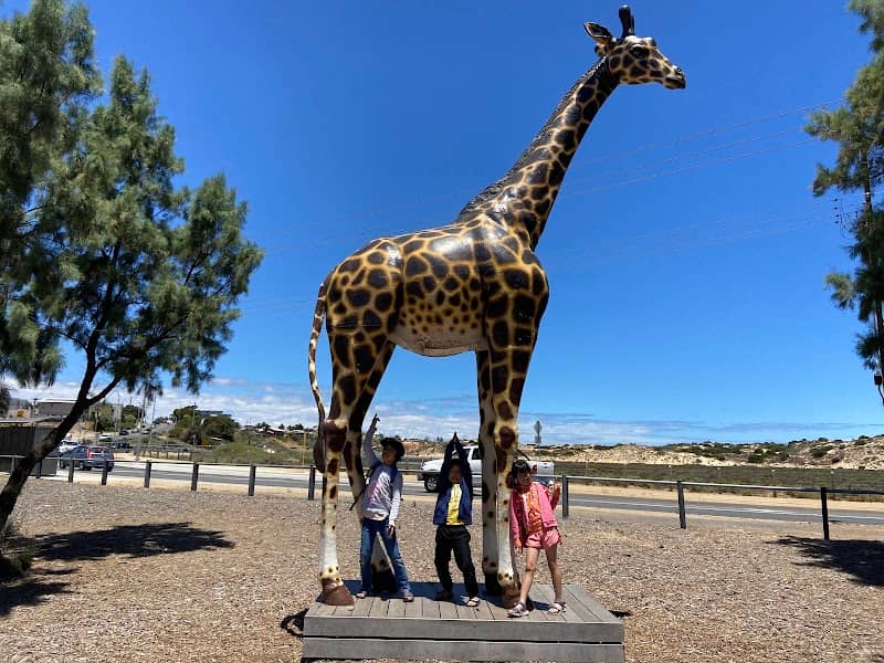 A E Young Reserve / Jubilee Park - Image 2
