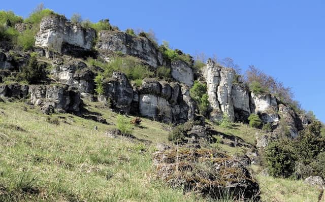 Riff-Kalkfelsen - Image 1