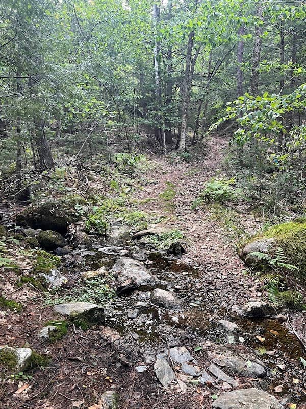 Mattabeseck Wildlife Corridor - Image 1