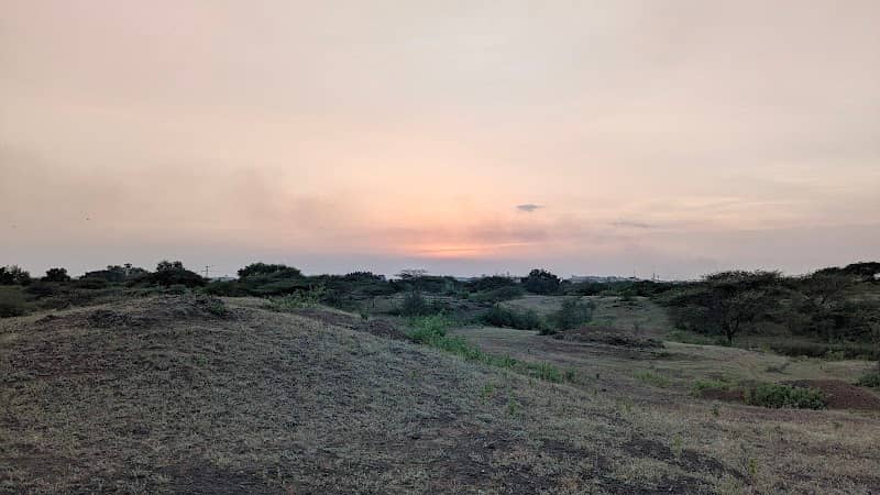 View Point - Image 2