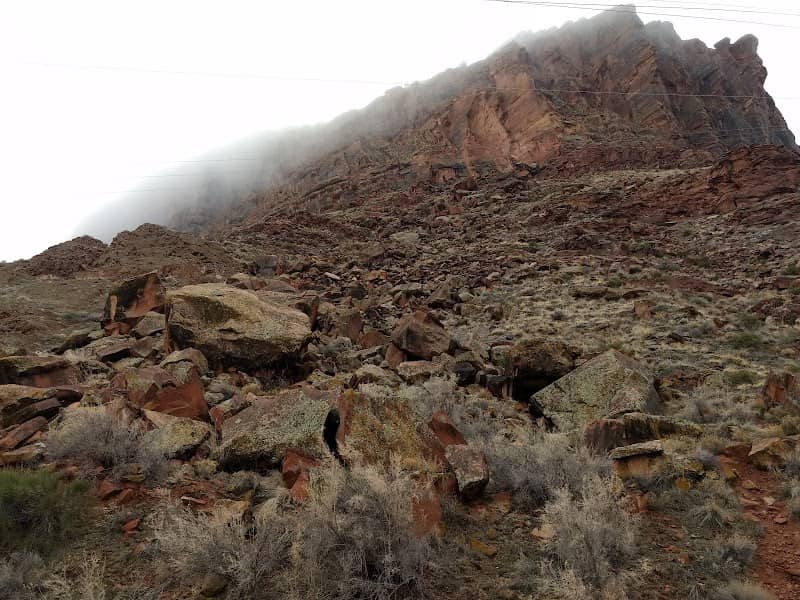 Nature Conservancy - Image 3
