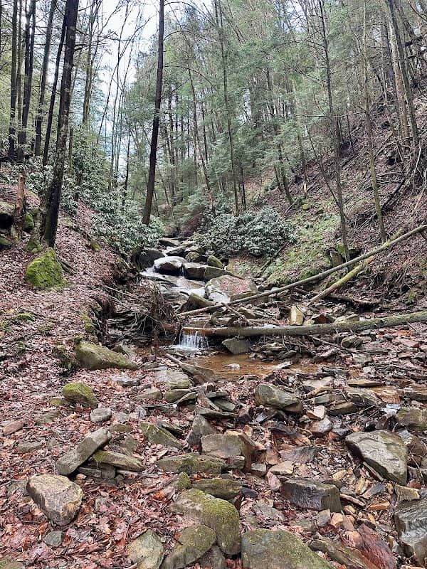Clarion Loop Trail - Image 1