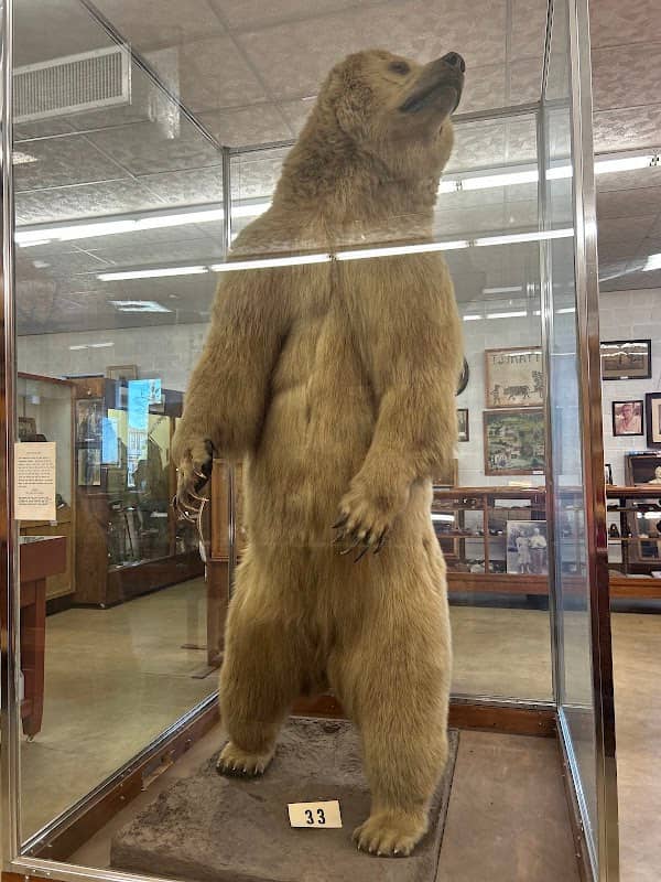 Jeff Matthews Museum - Image 2