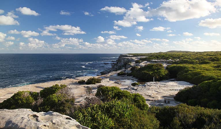 Kamay Botany Bay National Park - Image 2