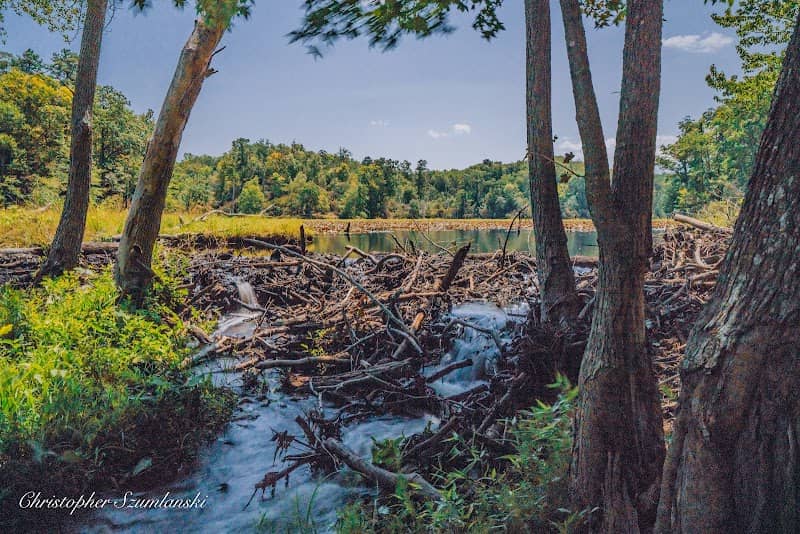 Calvert Cliffs Park Beach - Image 3