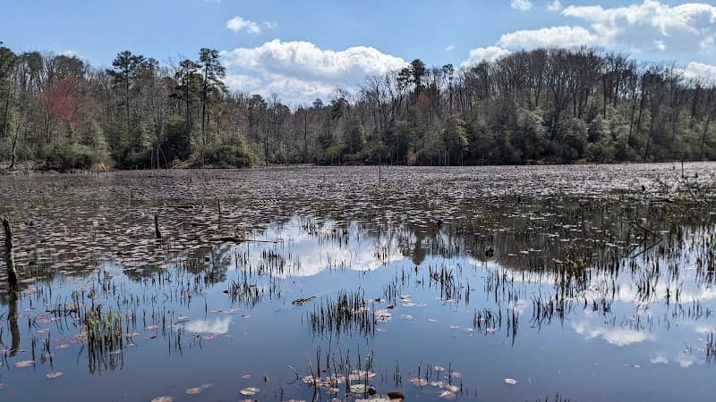 Calvert Cliffs Park Beach - Image 2