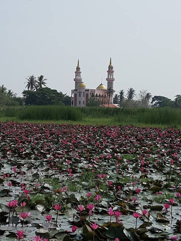 ทุ่งบัวแดงหัวตะเข้ - Image 1