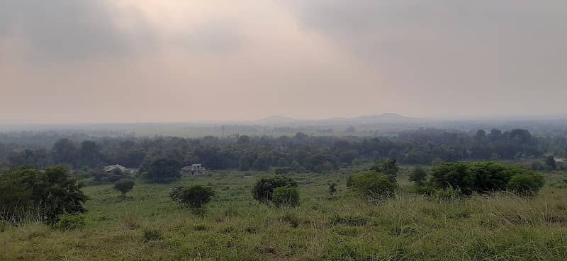 Kurudol Pahada (Hill) - Image 1