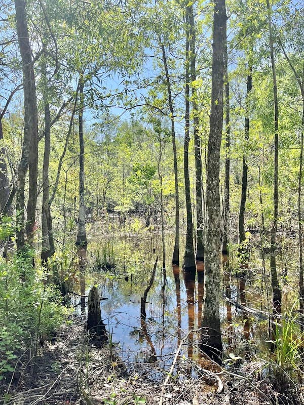 Jacinto Port Tract - Image 1