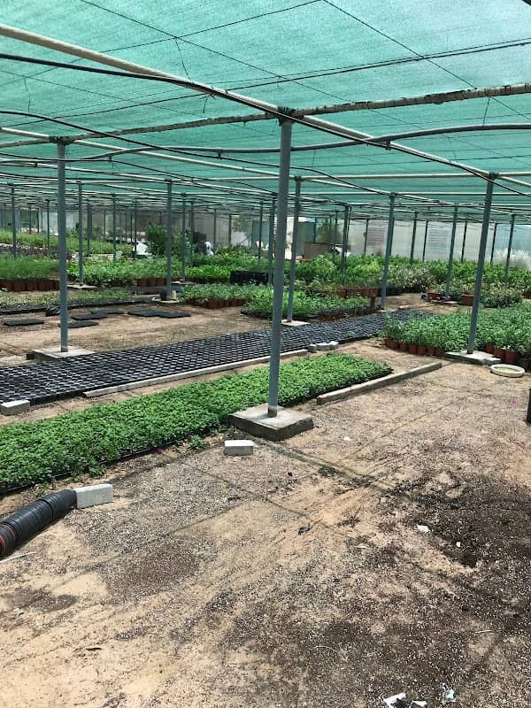 Ajman Muncipality Public Park & Plant Nursery - Image 1