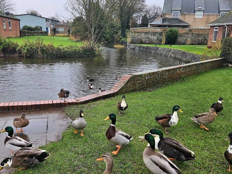 Soham Duck pond - Image 1