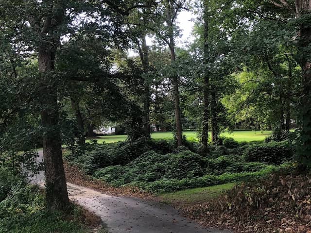 Coulbourn Park - Image 2