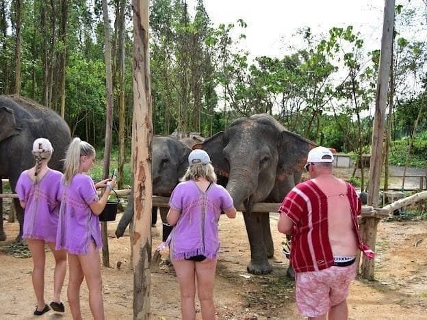 Elephant Sanctuary Booking Office Phuket - Image 1