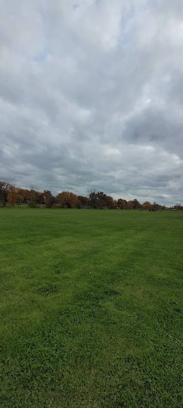 McLouth Park Rush home field - Image 1