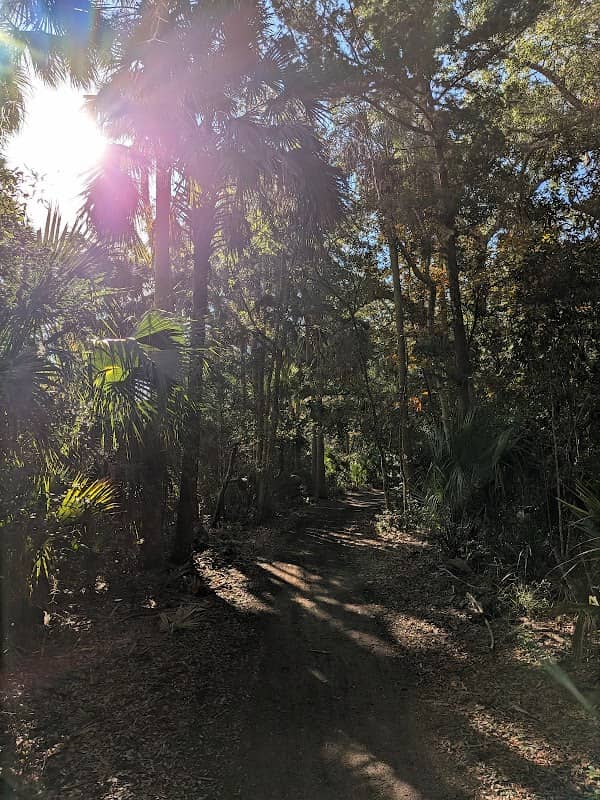 Malacompra Rd- Beach Access - Image 1