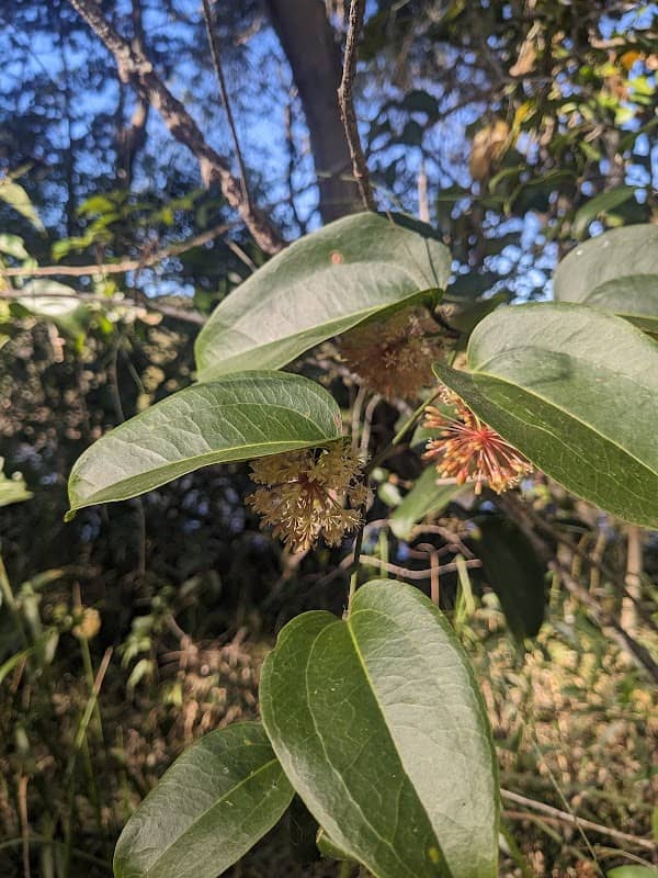 Community Nature Trail - Image 1