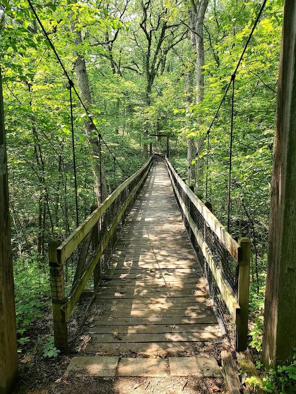 Zo-El Annett Woods - Image 1