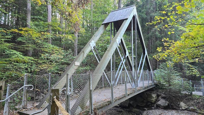 The Eclipse Bridge - Image 1
