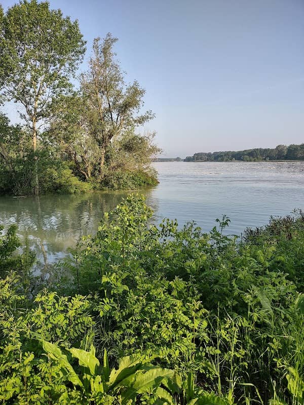 Parco fluviale foce Enza - Image 1