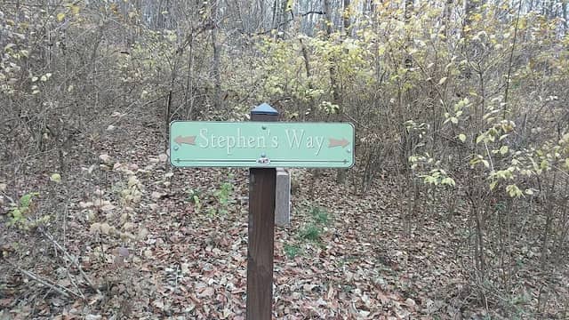 Stephen's Way - Image 1