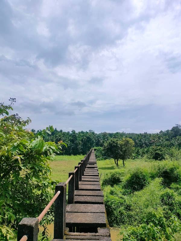 Mini aquaduct - Image 1