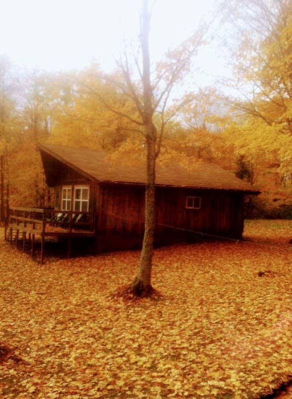 Sherman's Manistique Lakes - Image 1